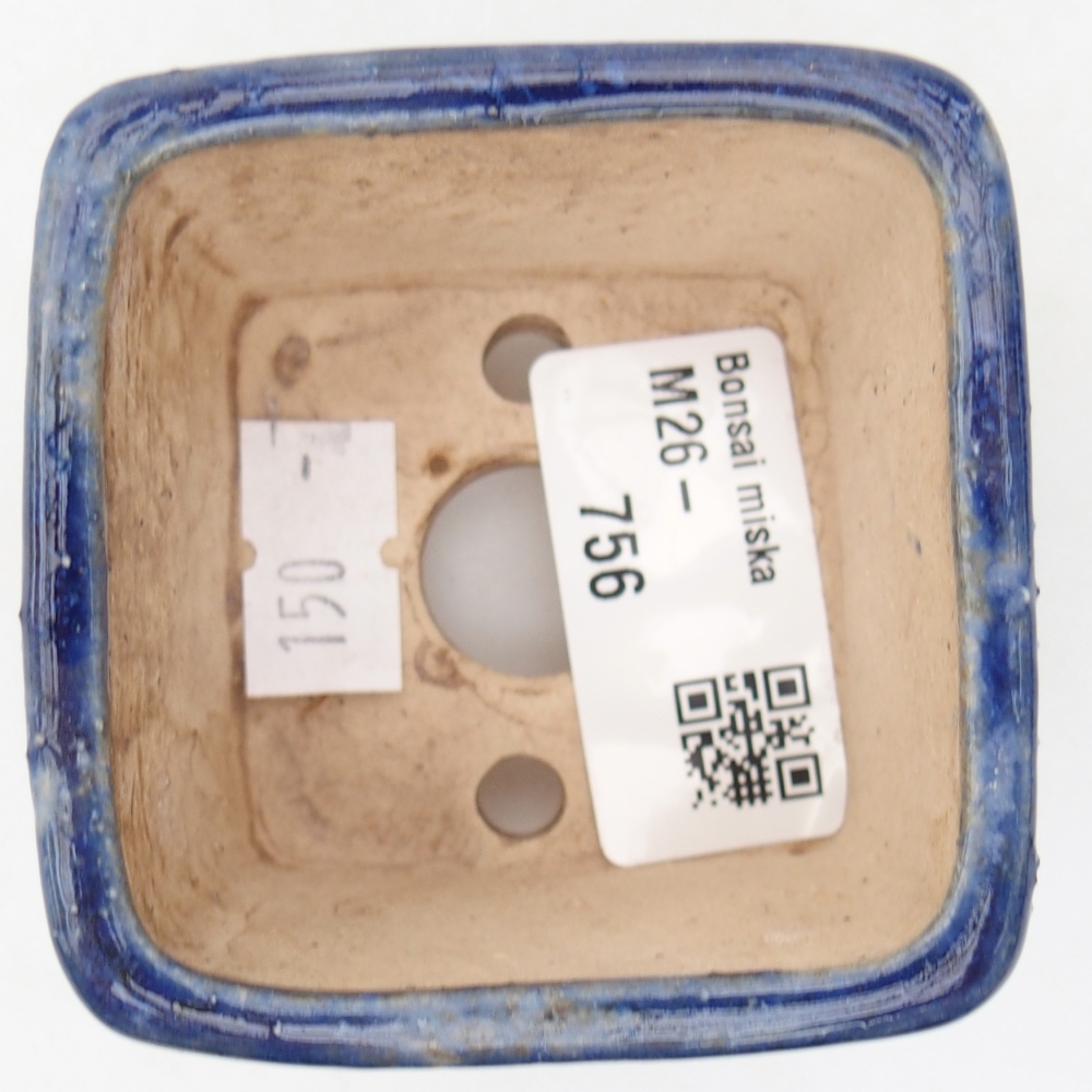 Ciotola per bonsai in ceramica 6 x 6 x 4,5 cm, colore blu