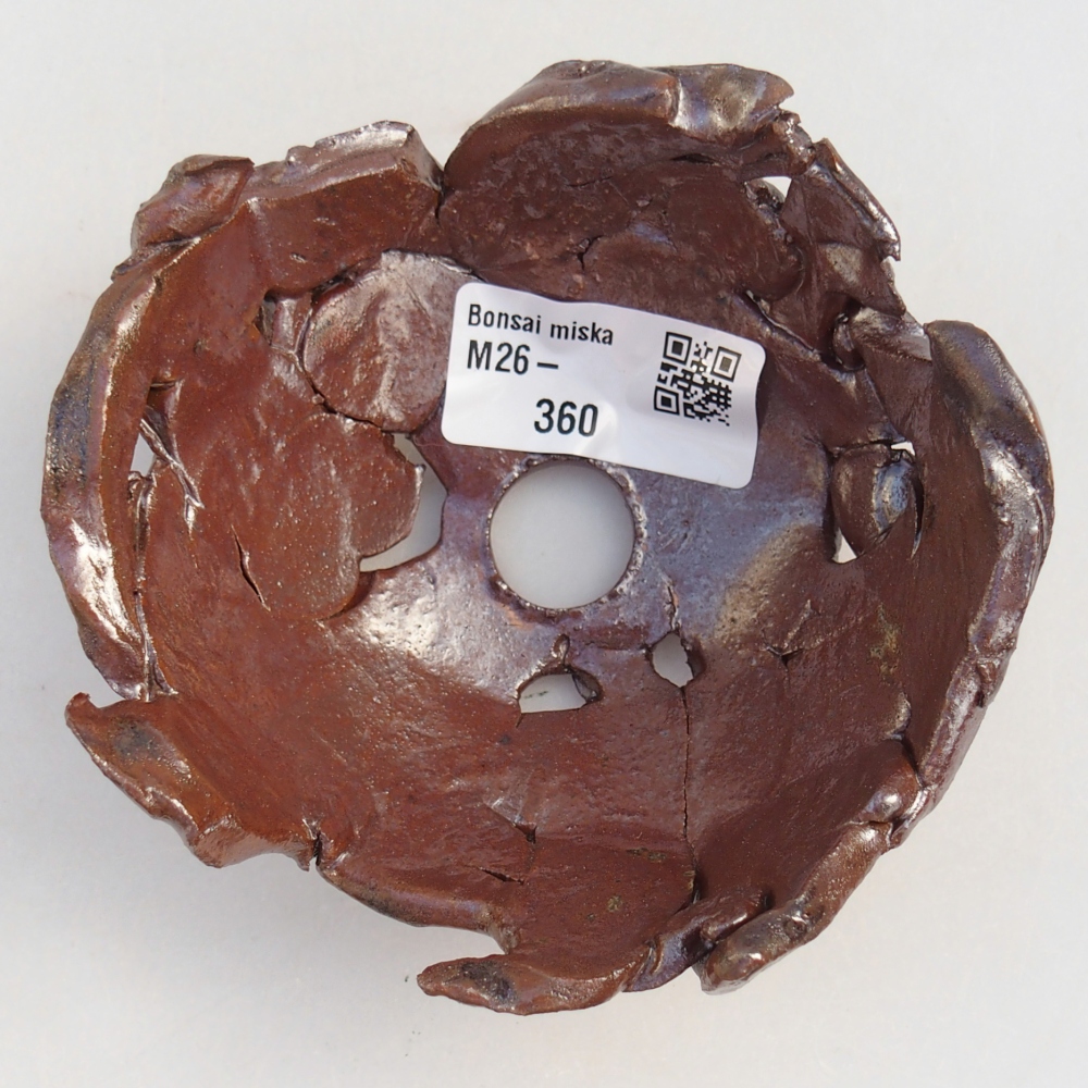 Conchiglia in ceramica 10 x 10 x 5 cm , colore marrone