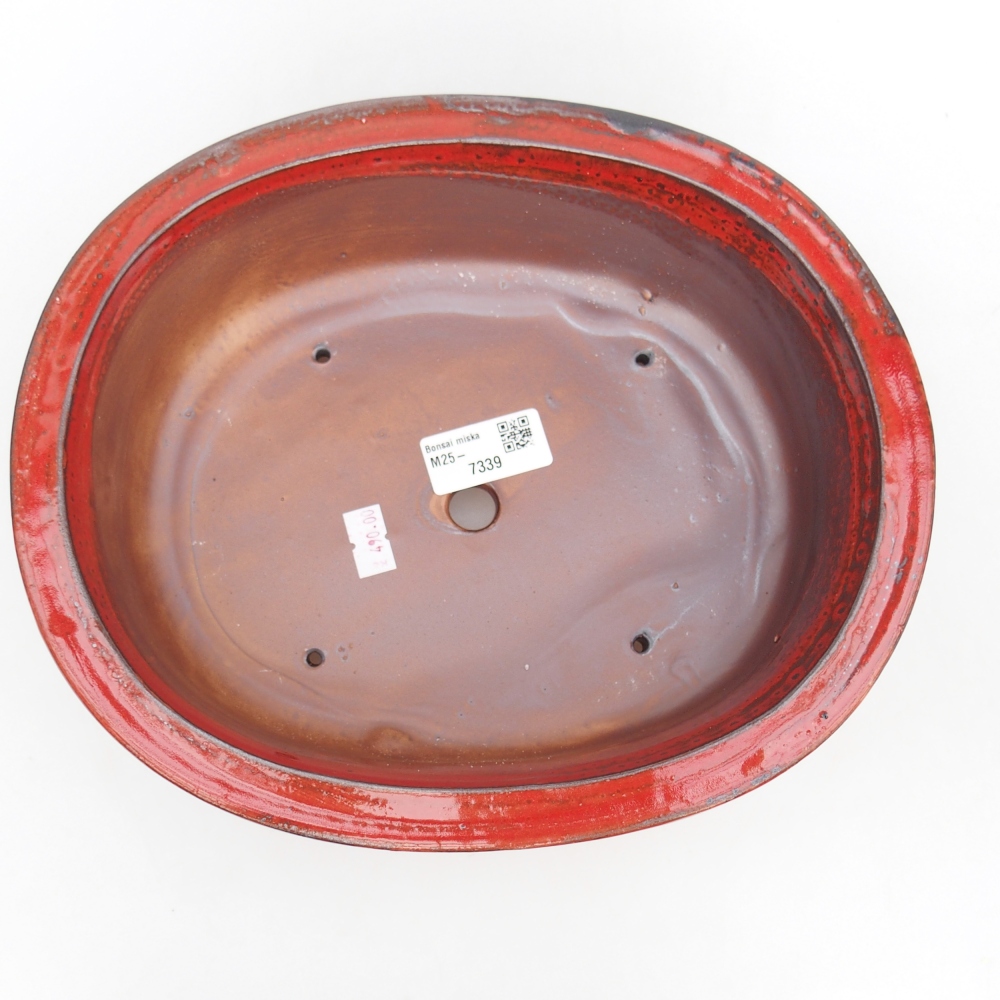 Ciotola per bonsai in ceramica 26 x 22 x 8 cm, colore rosso