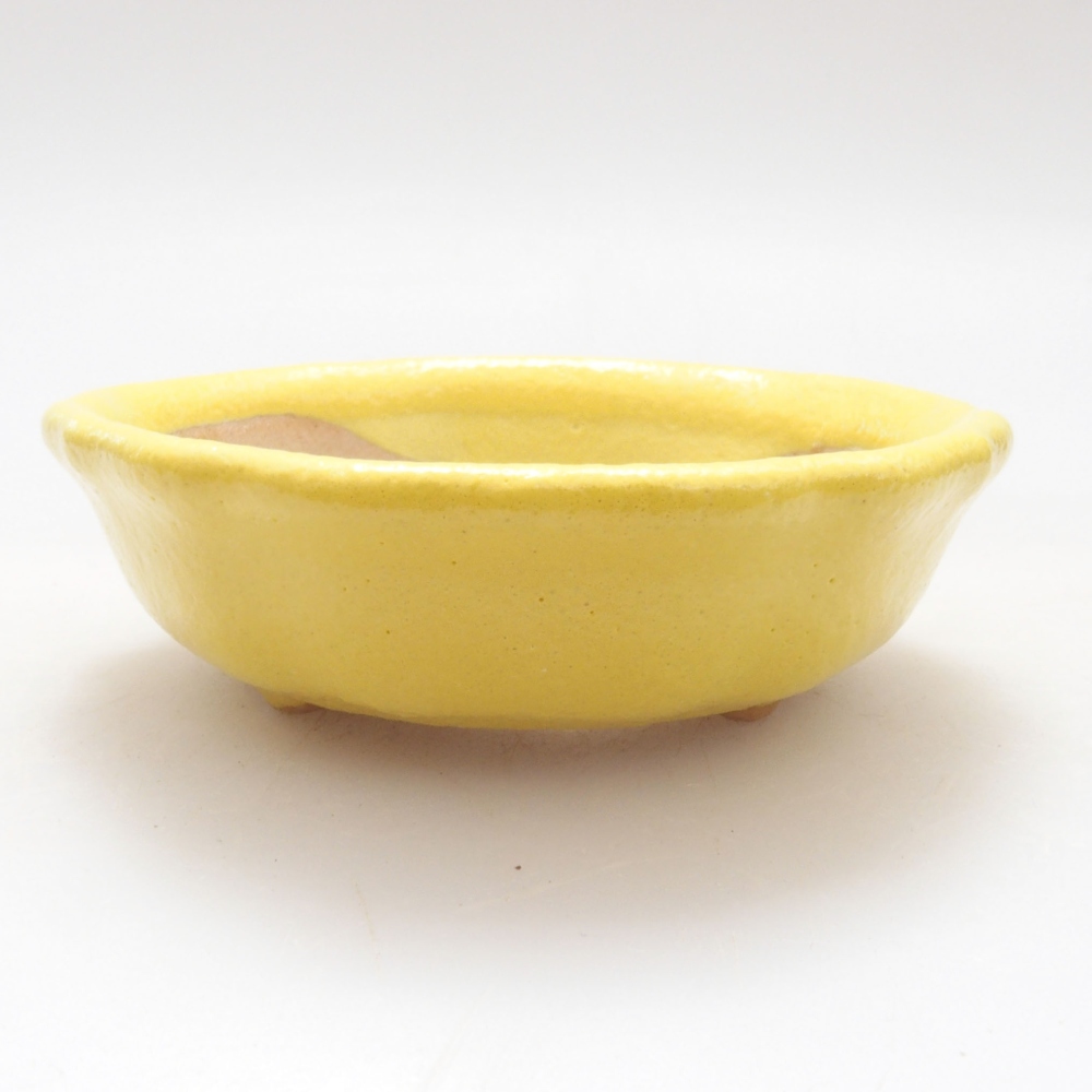 Ciotola bonsai in ceramica 7 x 7 x 2 cm, giallo