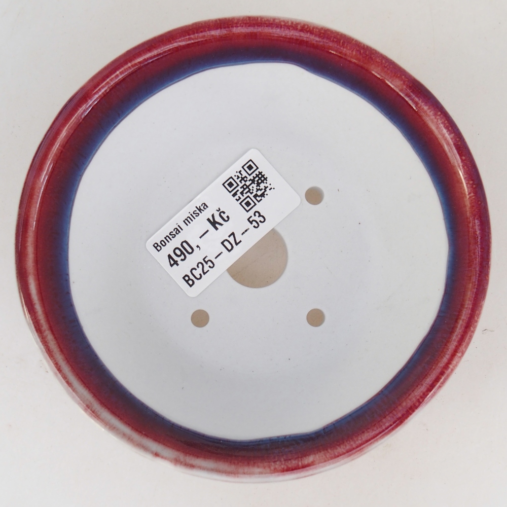 Ciotola per bonsai in ceramica 10,5 x 10,5 x 5 cm, colore viola