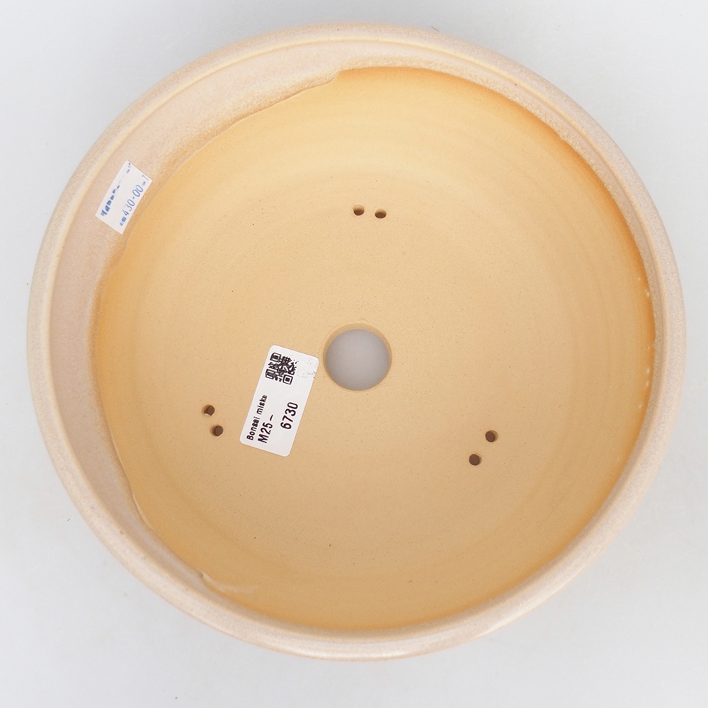 Ciotola bonsai in ceramica 22 x 22 x 7,5 cm, colore beige