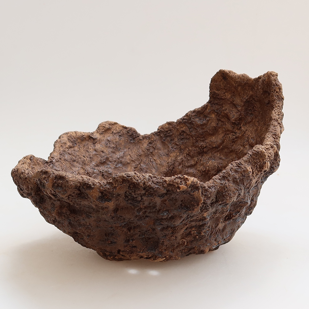 Conchiglia in ceramica 22 x 19 x 17 cm, colore marrone