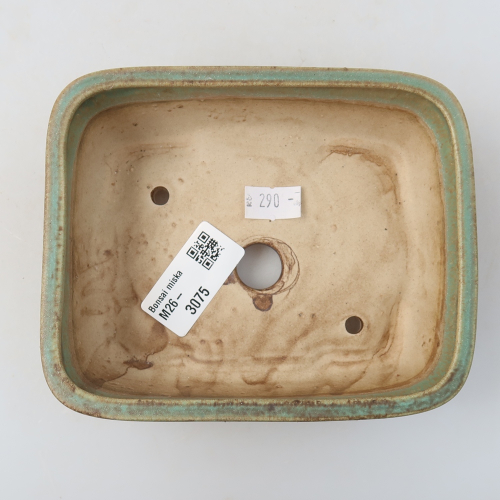 Vaso in ceramica per bonsai 14 x 11,5 x 4,5 cm, colore verde