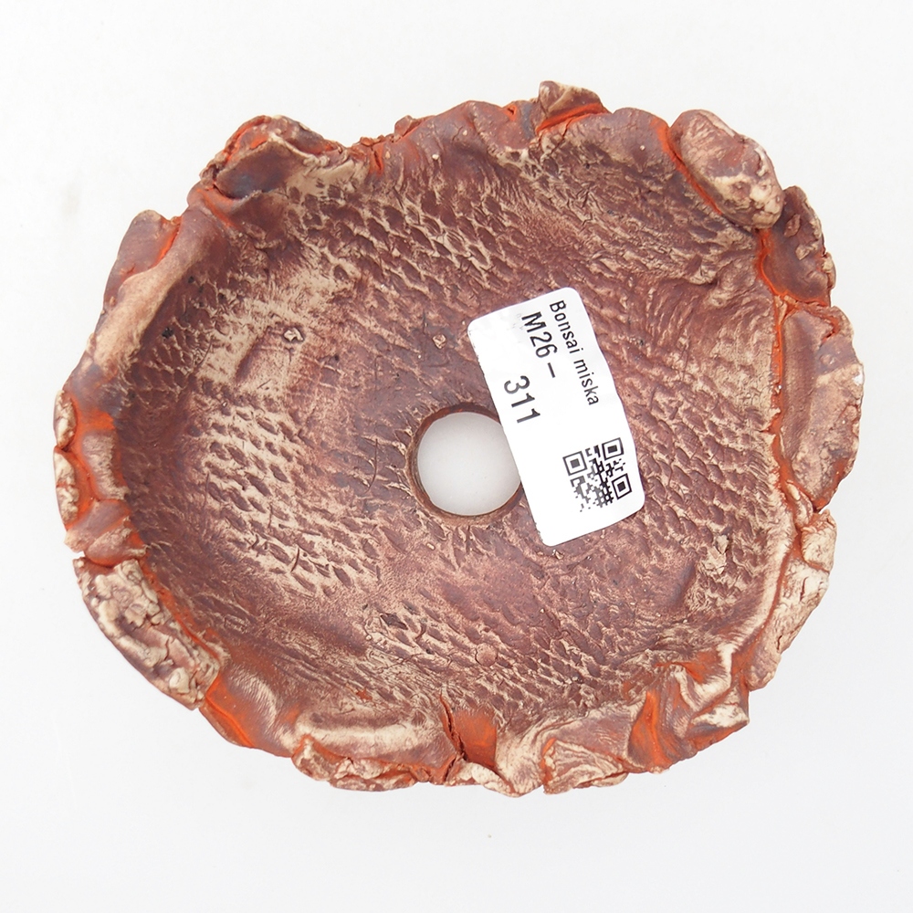 Conchiglia in ceramica 11,5 x 10,5 x 6 cm , colore arancione