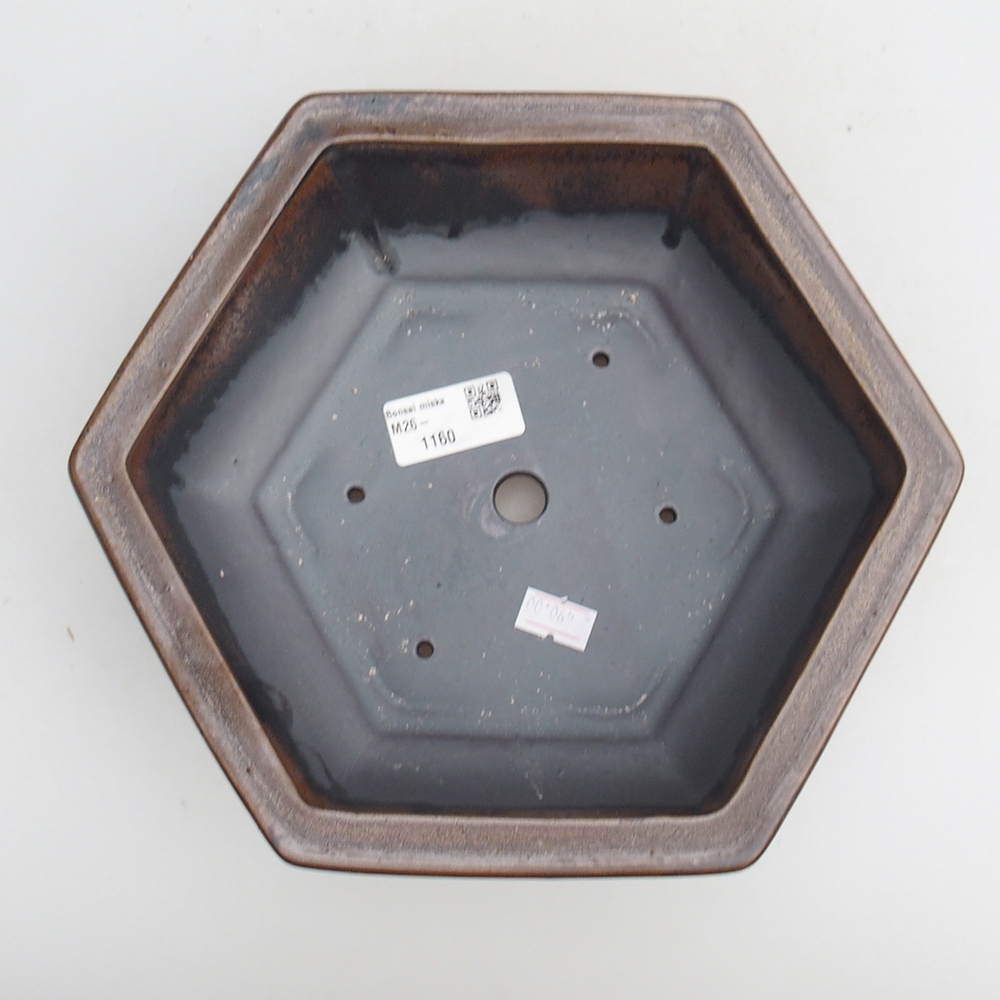 Ciotola bonsai in ceramica 23 x 21 x 7,5 cm, marrone