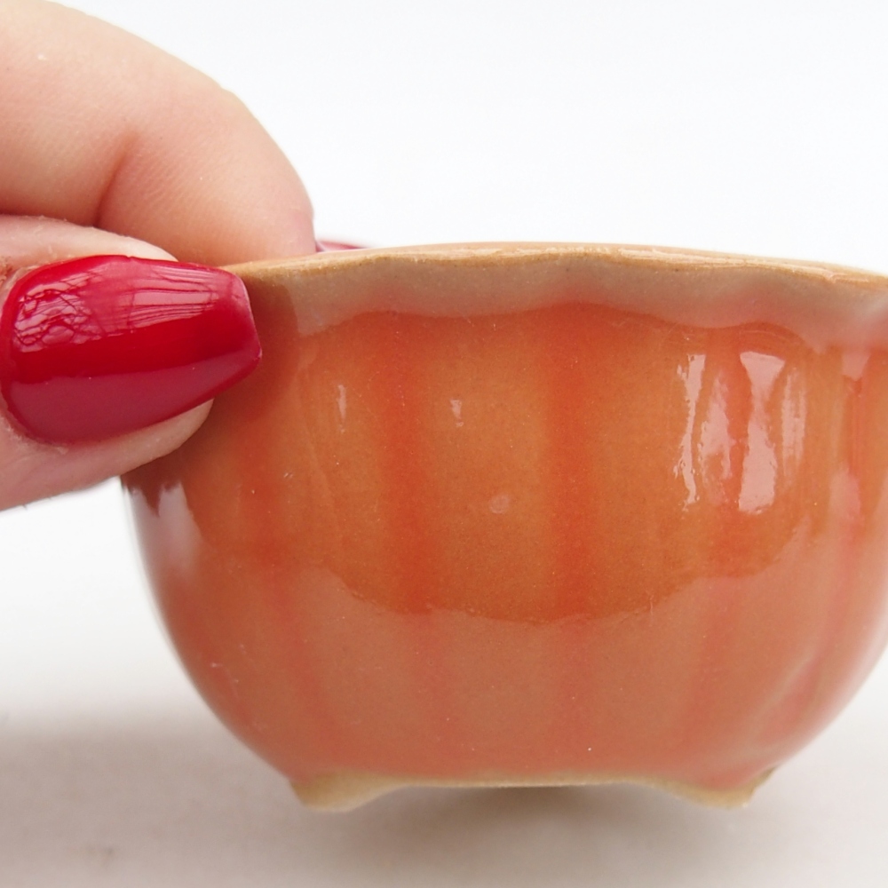 Ciotola bonsai in ceramica 26 x 26 x 8 cm, colore rosso