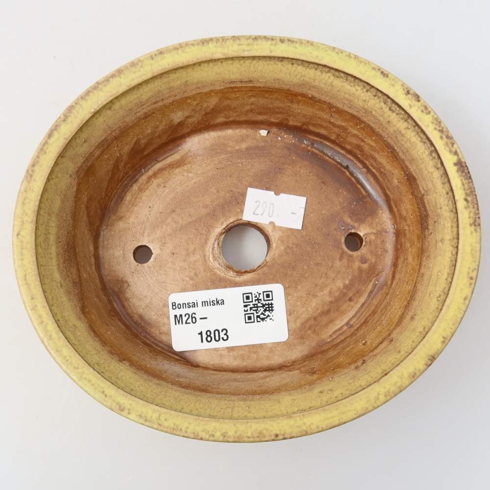 Vaso da bonsai in ceramica 14,5 x 12,5 x 4 cm, colore giallo