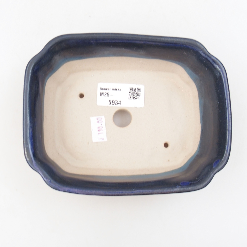 Ciotola bonsai in ceramica 22 x 17 x 5 cm, verde