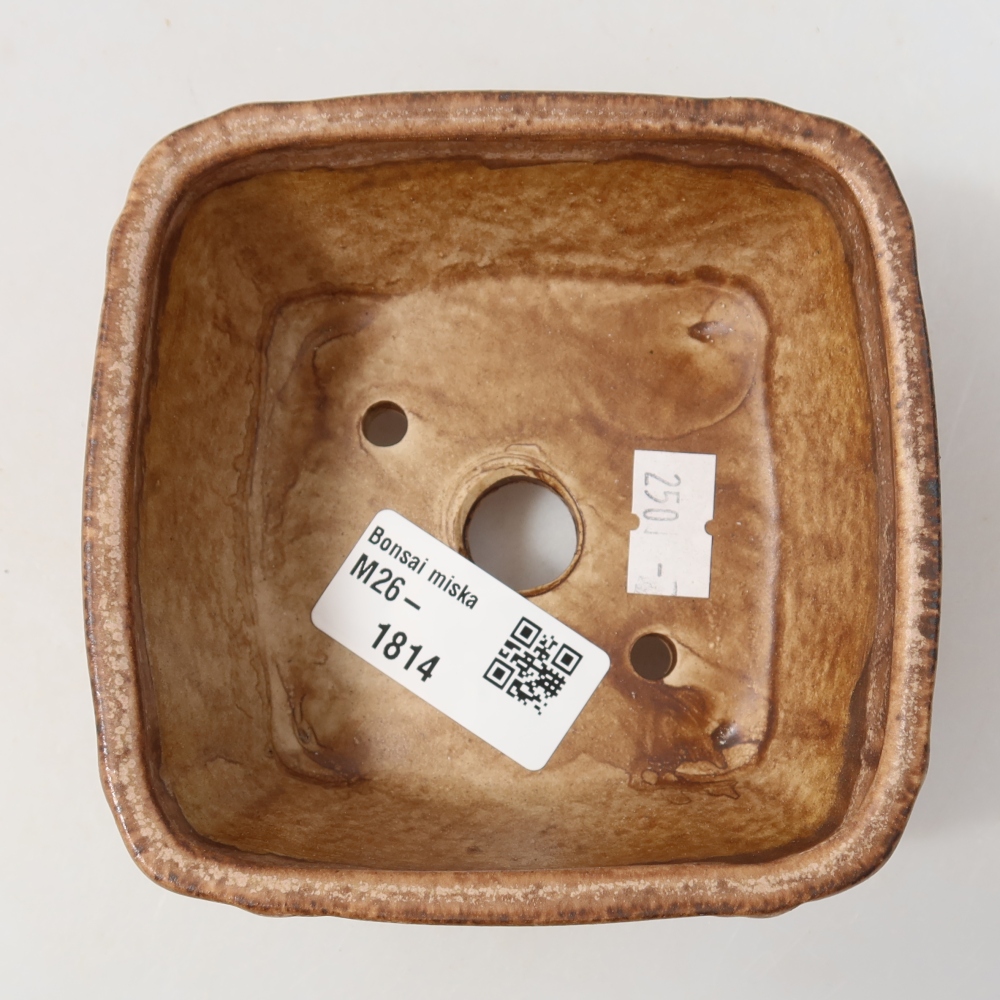Ciotola bonsai in ceramica 10,5 x 10,5 x 4,5 cm, rosa