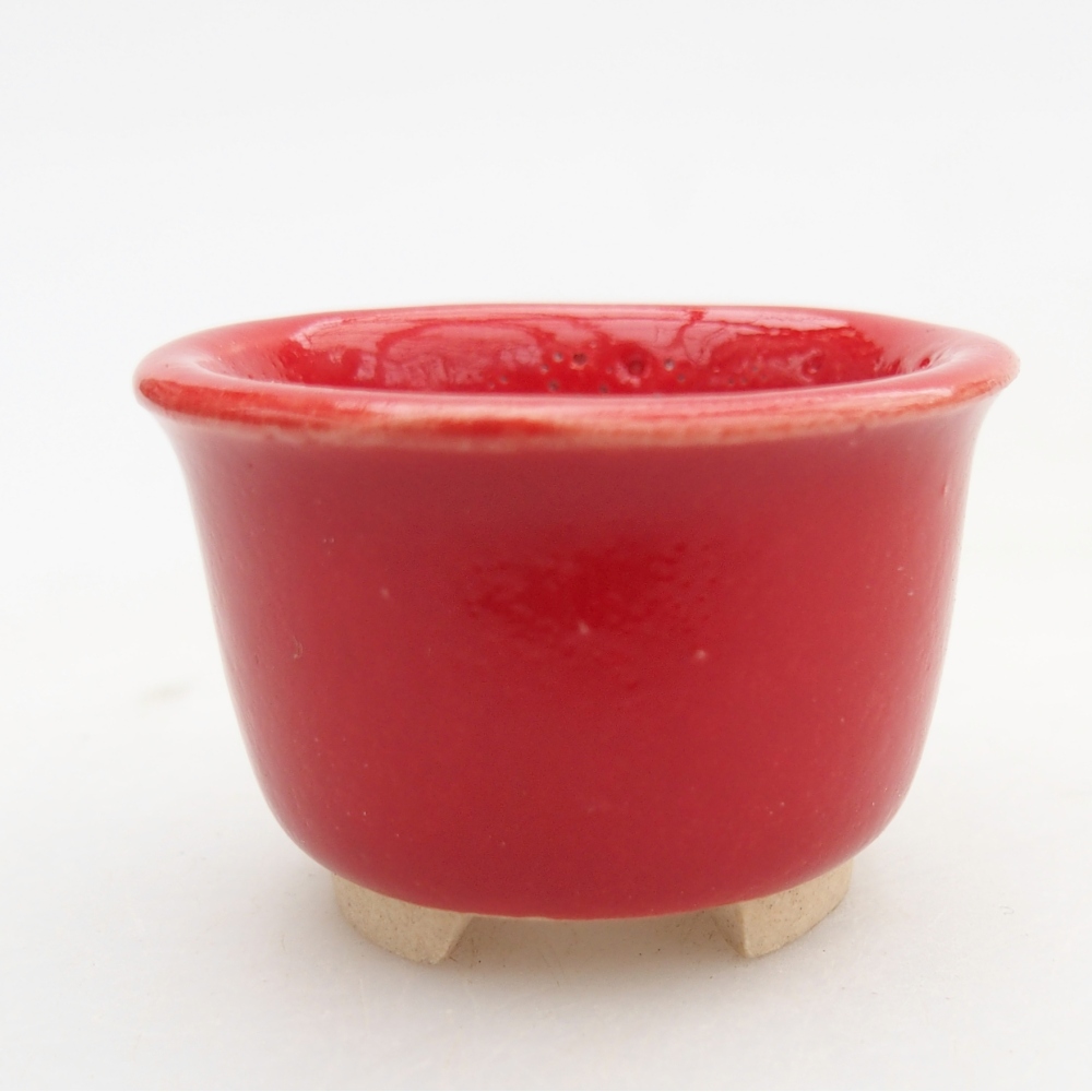 Mini bonsai 4 x 4 x 2,5 cm, colore rosso