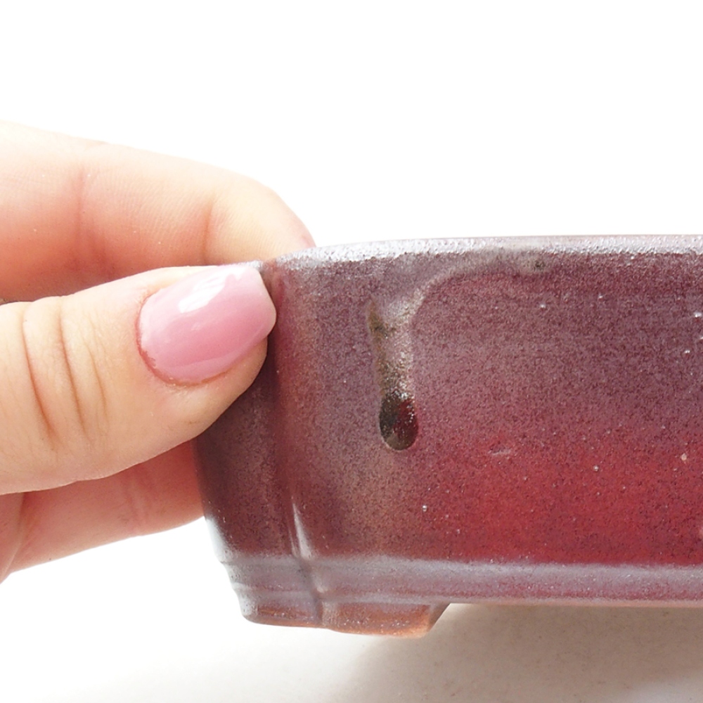 Ciotola per bonsai in ceramica 15 x 11,5 x 4,5 cm, marrone