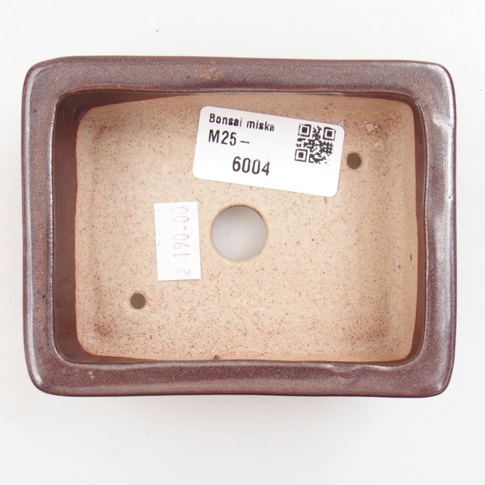 Ciotola bonsai in ceramica 22 x 17 x 5 cm, verde