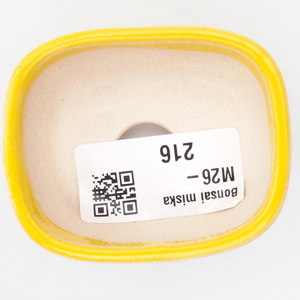 Mini bonsai 6 x 5 x 2,5 cm, giallo