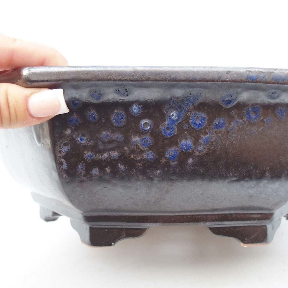 Ciotola bonsai in ceramica 28 x 24,5 x 9 cm, colore blu-nero