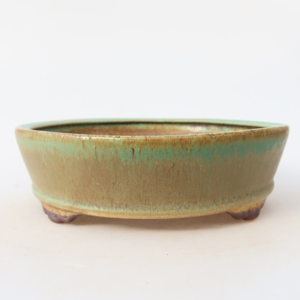 Ciotola bonsai in ceramica 18 x 18 x 5 cm, verde