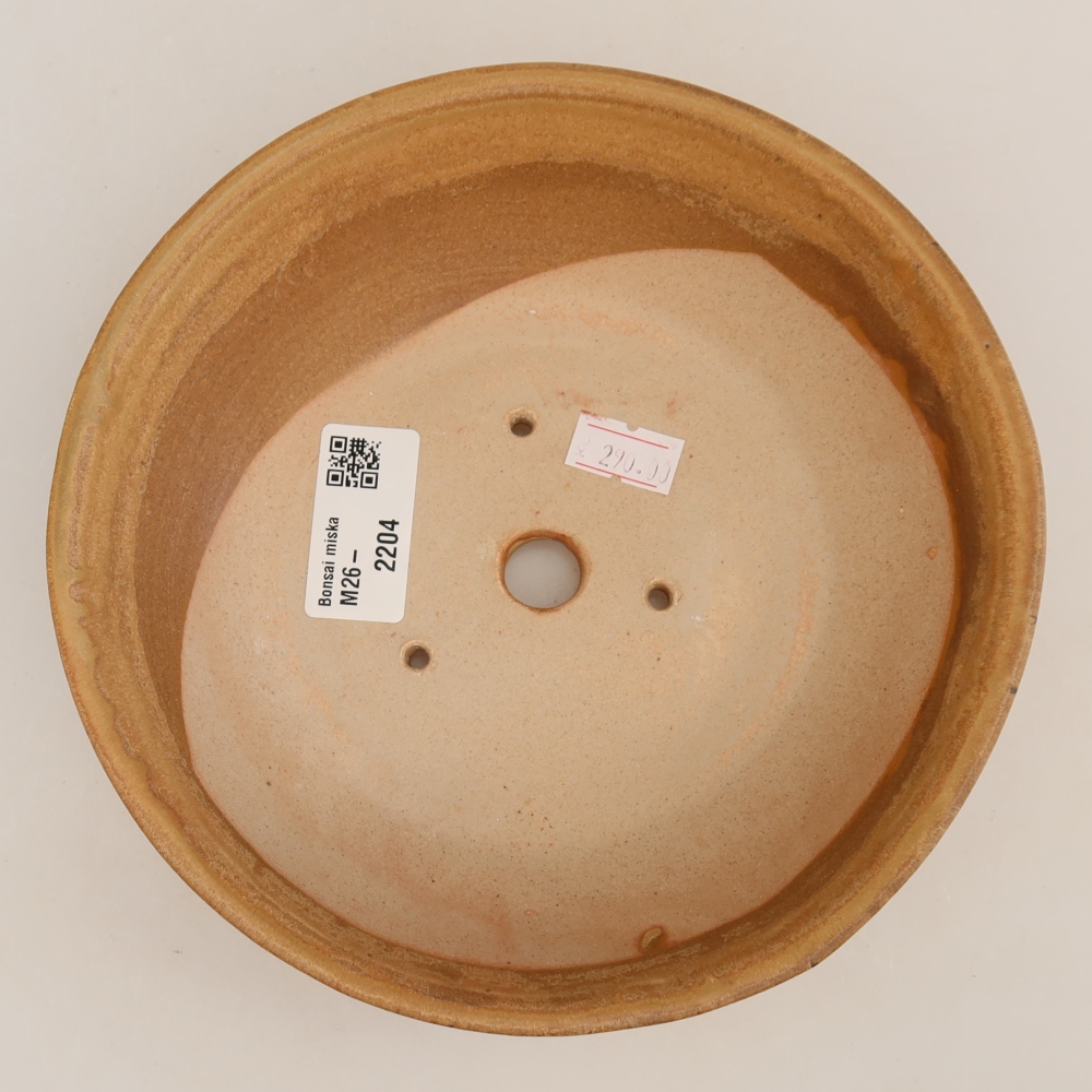 Vaso da bonsai in ceramica 17,5 x 17,5 x 4,5 cm, colore beige