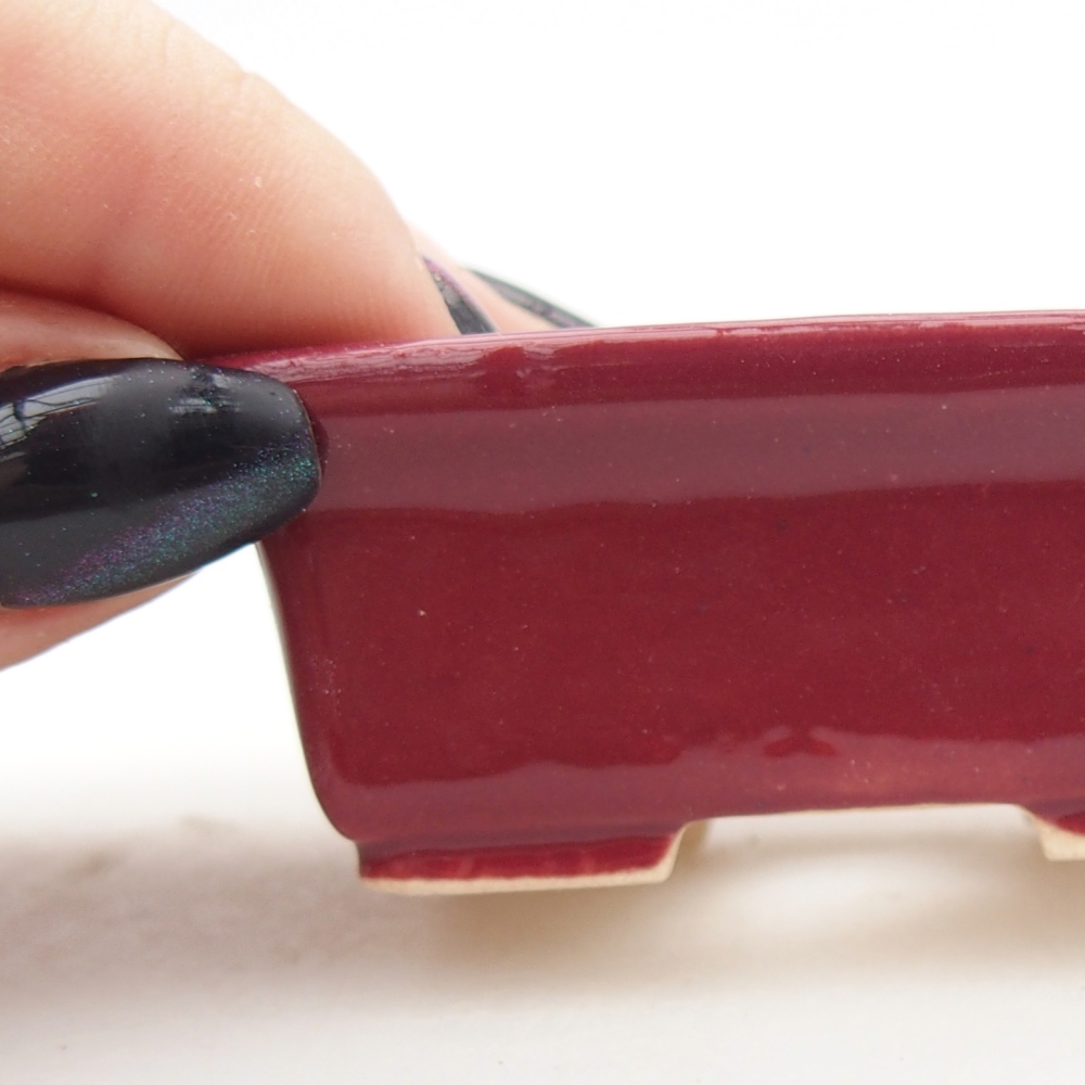 Ciotola per bonsai mini 6,5 x 4 x 2,5 cm, bordeaux