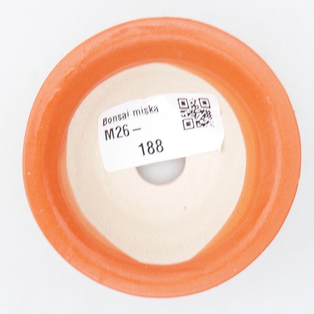 Ciotola per mini bonsai 7,5 x 7,5 x 3 cm, arancione