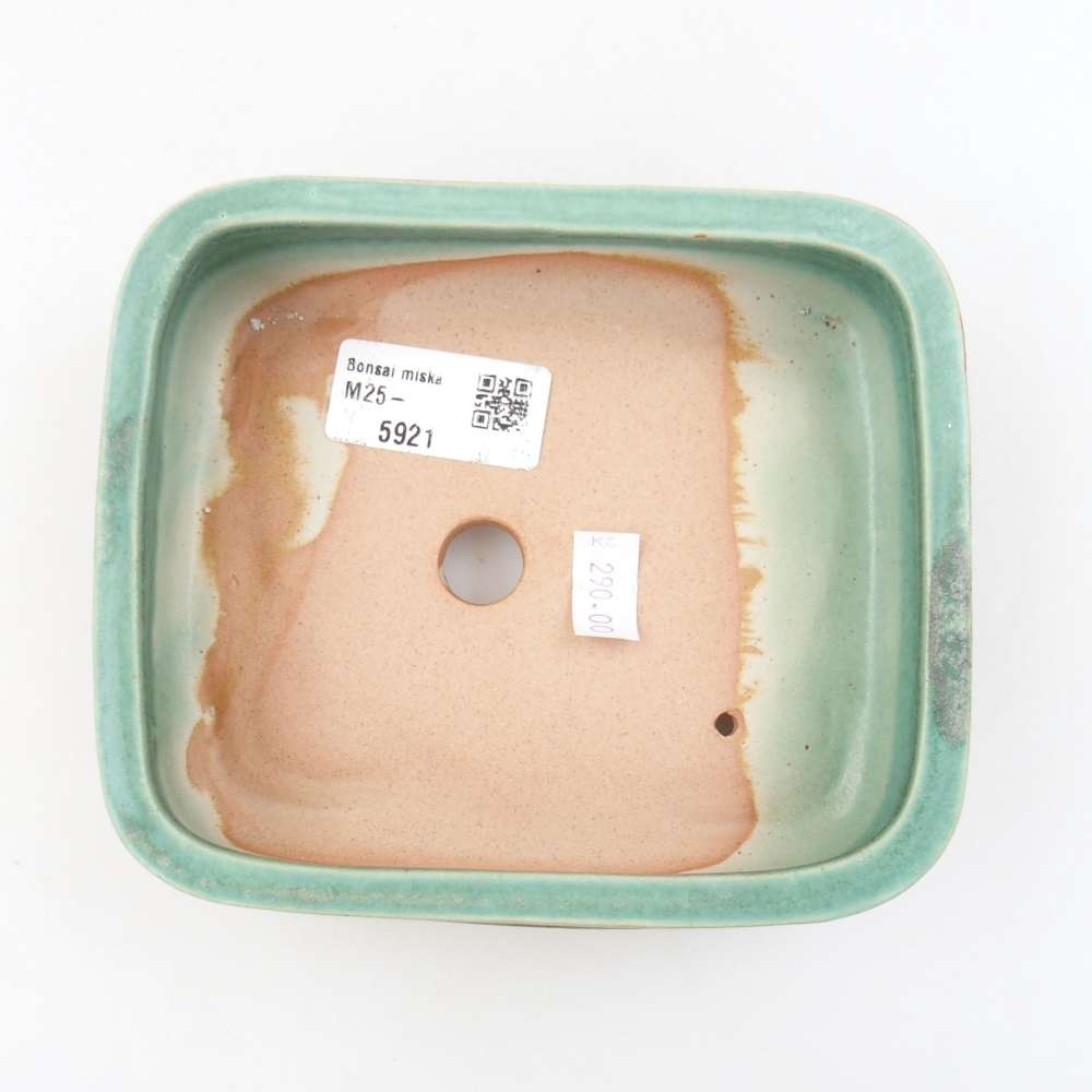 Ciotola bonsai in ceramica 22 x 17 x 5 cm, verde