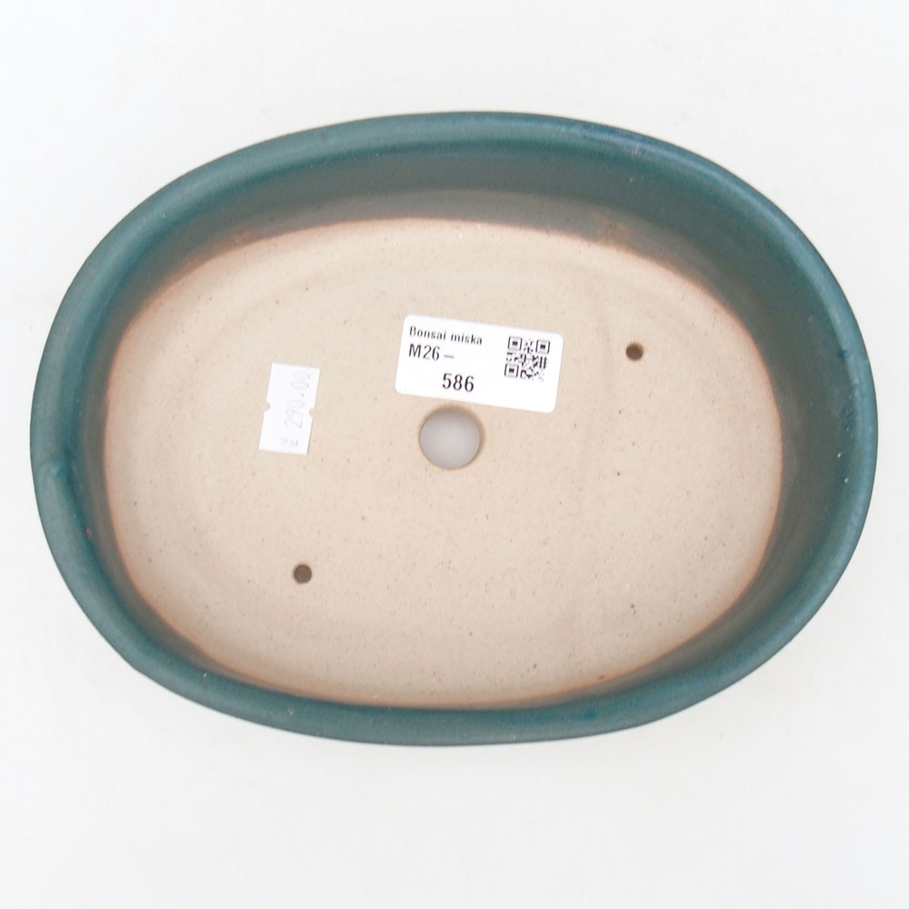 Ciotola bonsai in ceramica 19 x 14 x 5 cm, colore blu