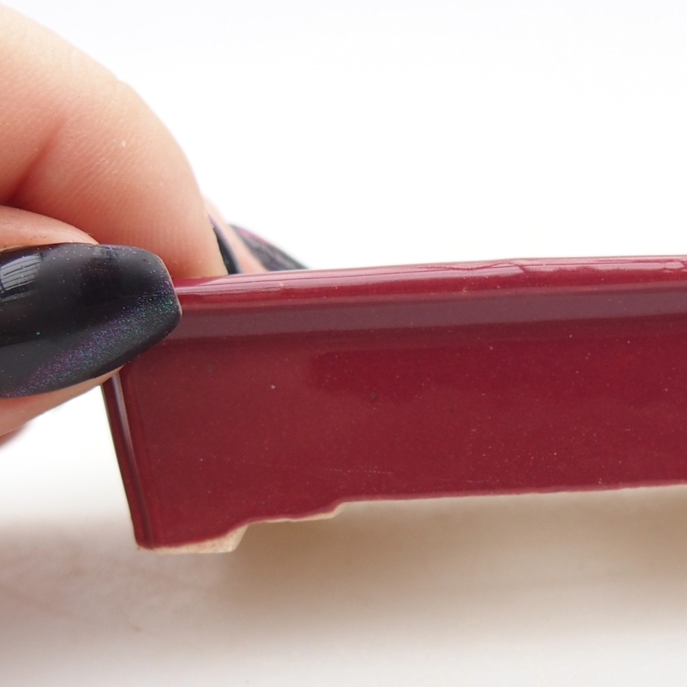 Mini bonsai 7,5 x 5 x 2 cm, bordeaux