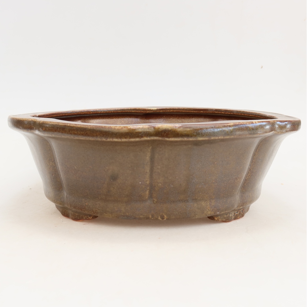 Ciotola bonsai in ceramica 26 x 26 x 8 cm, marrone