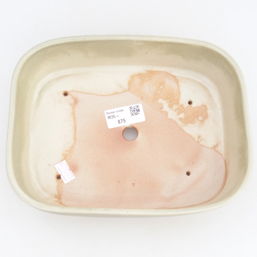 Ciotola bonsai in ceramica 23 x 18 x 5,5 cm, verde