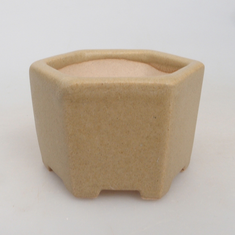 Ciotola per mini bonsai 6,5 x 6 x 4 cm, marrone