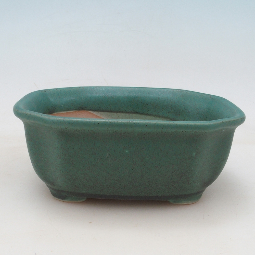 Ciotola bonsai + piattino H32 - verde