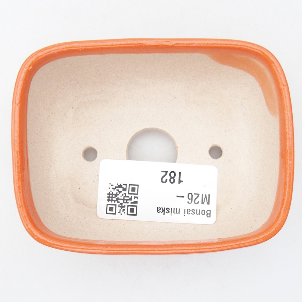 Ciotola per mini bonsai 8 x 6 x 3 cm, arancione