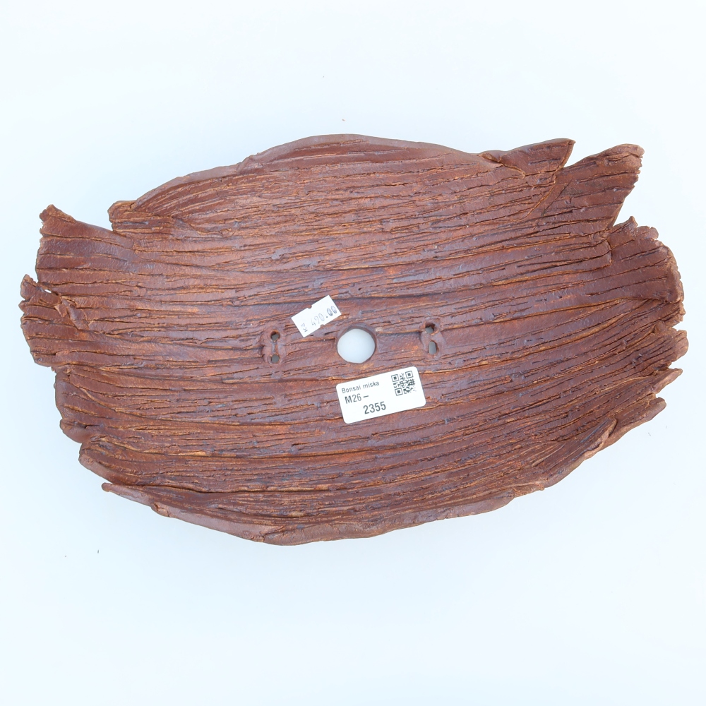 Conchiglia in ceramica  27 x 18,5 x 10 cm, colore marrone