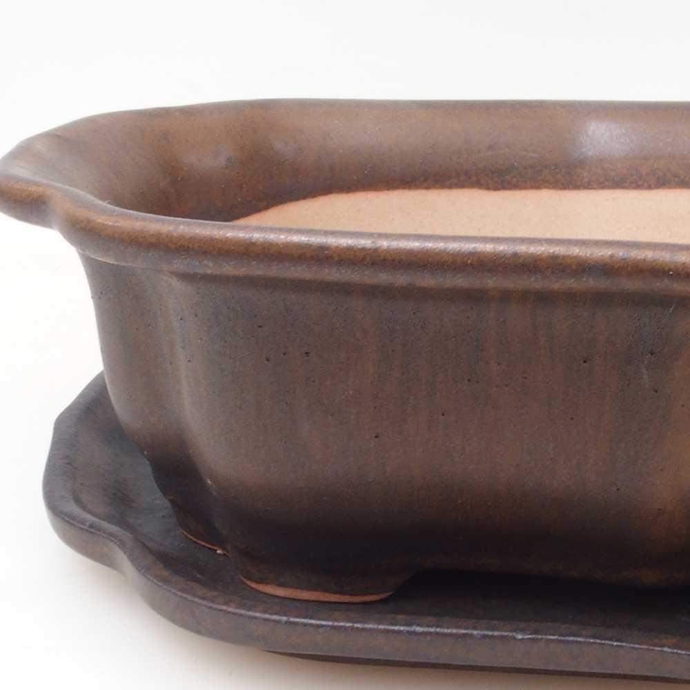 Ciotola bonsai + piattino H51 - 18x14x5 cm - marrone