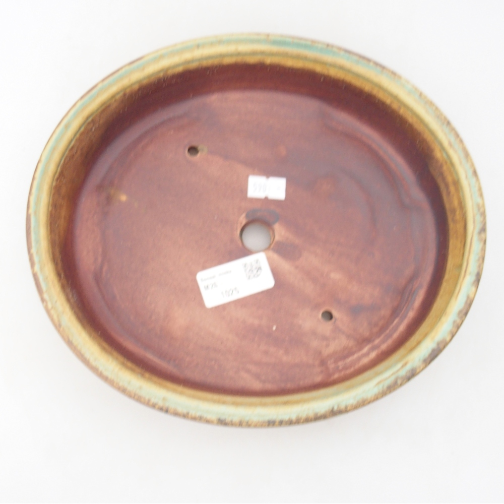 Ciotola bonsai in ceramica 24 x 21 x 5 cm, verde