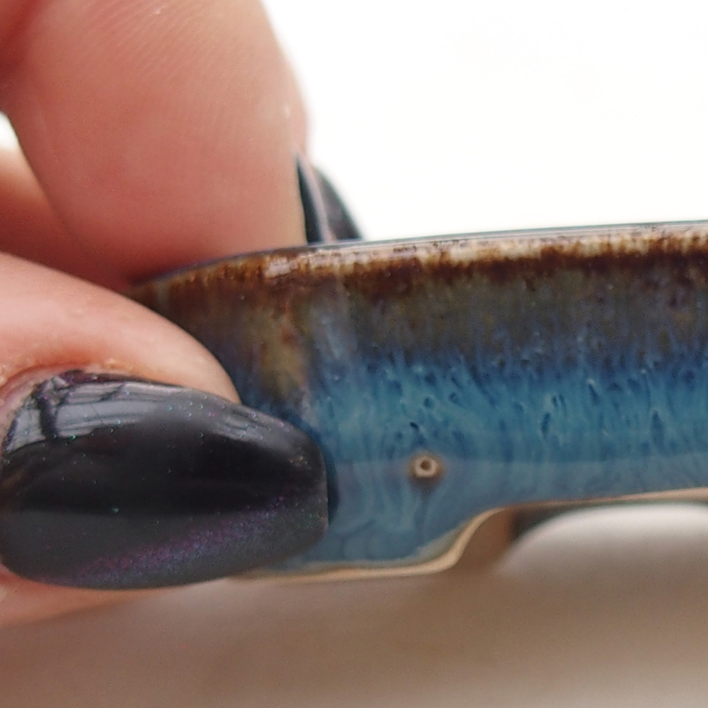 Mini bonsai 5,5 x 4 x 1,5 cm, colore blu