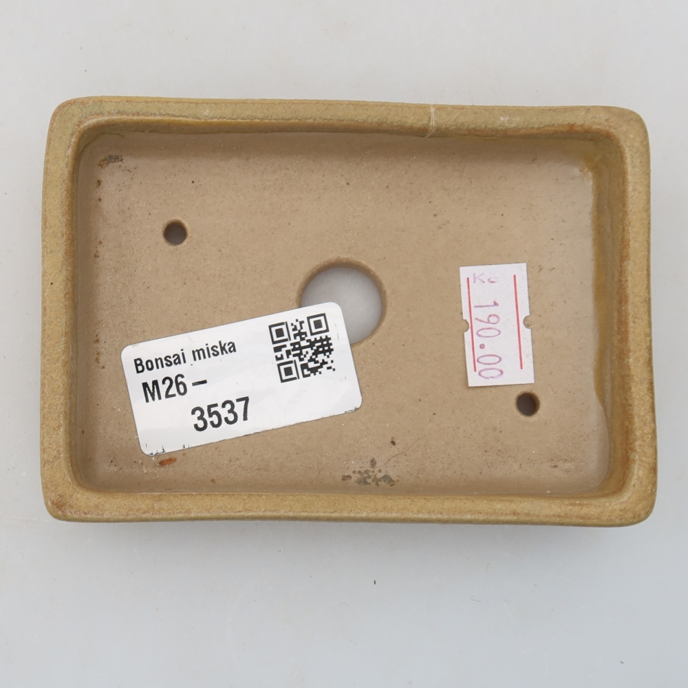 Ciotola per bonsai in ceramica 10 x 7 x 2 cm, colore beige