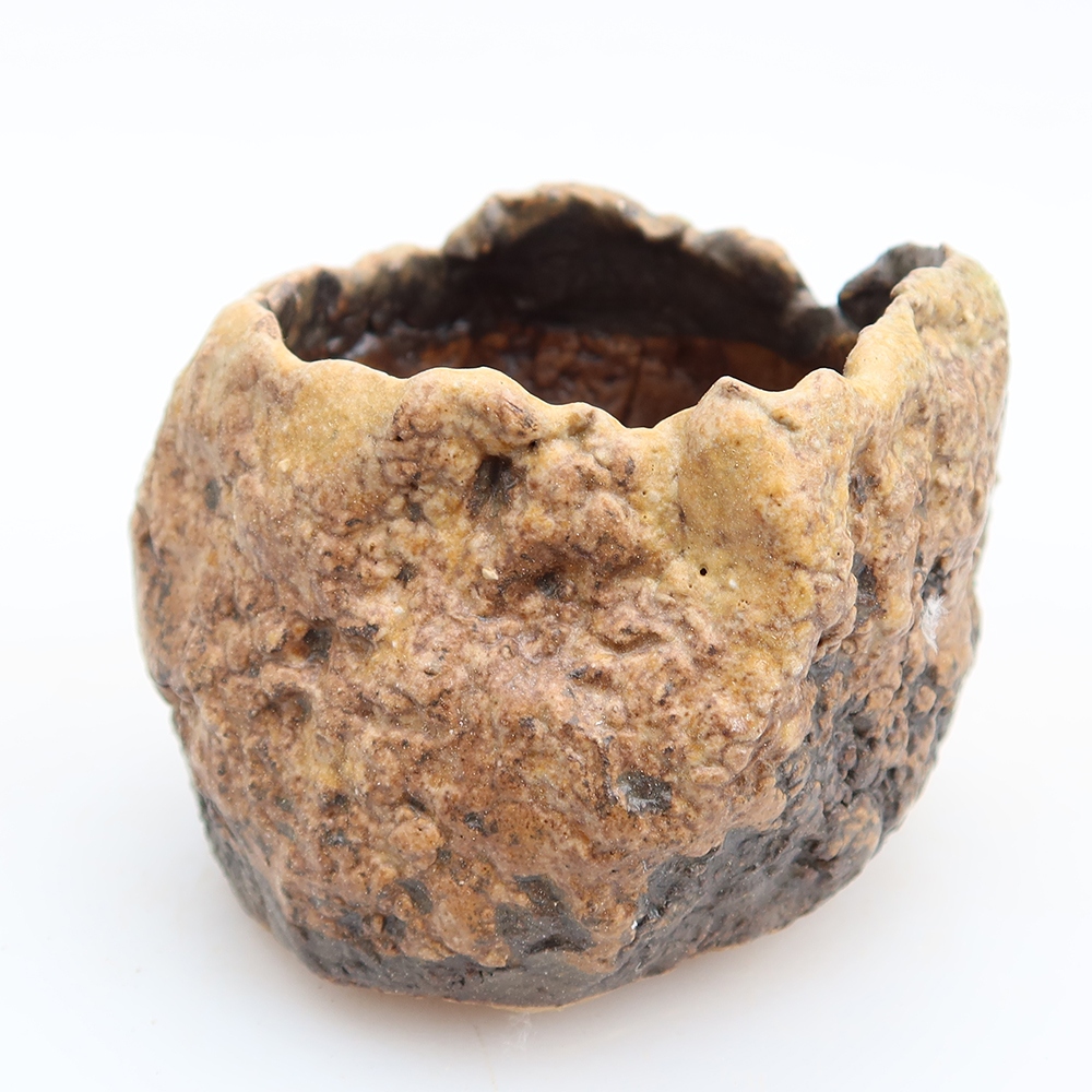 Guscio in ceramica  5,5 x 5,5 x 6 cm , colore marrone