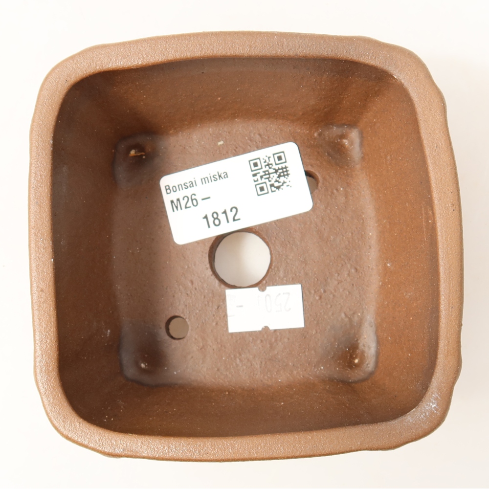 Ciotola per bonsai in ceramica 10,5 x 10,5 x 4,5 cm, marrone