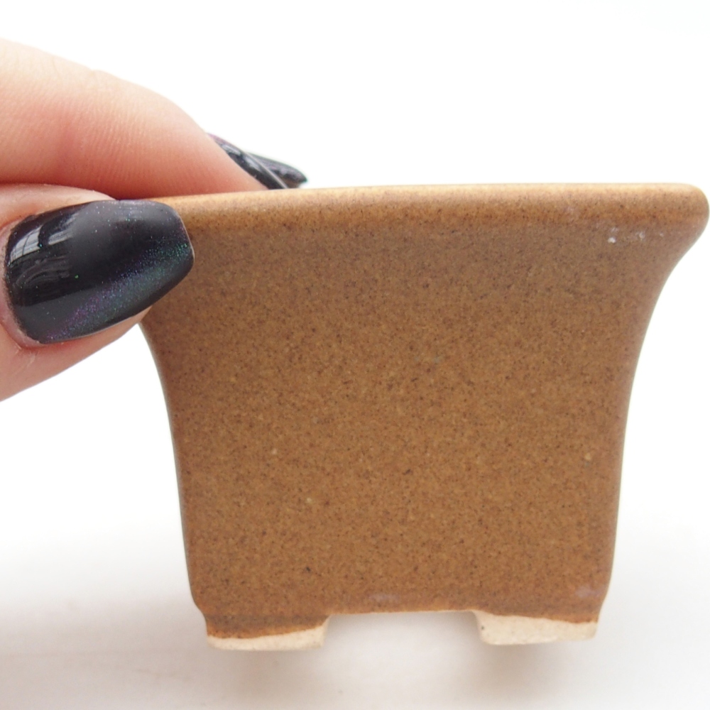 Ciotola per mini bonsai 5,5 x 5,5 x 4 cm, marrone