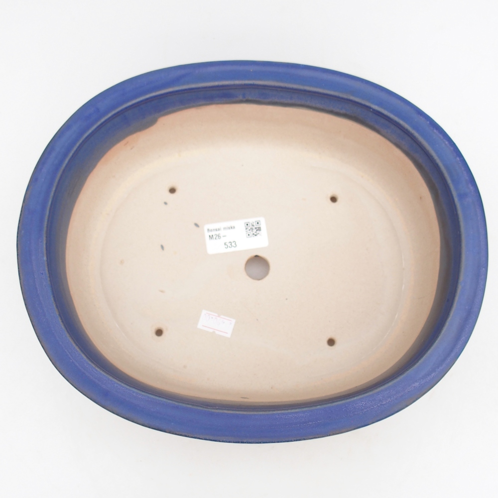 Ciotola bonsai in ceramica 26 x 22 x 8 cm, colore blu