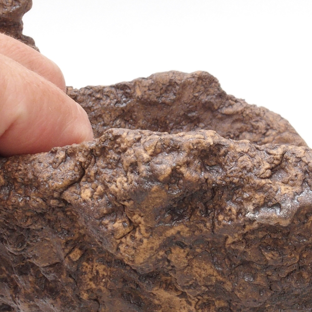 Conchiglia in ceramica 16 x 16 x 16 cm , colore marrone