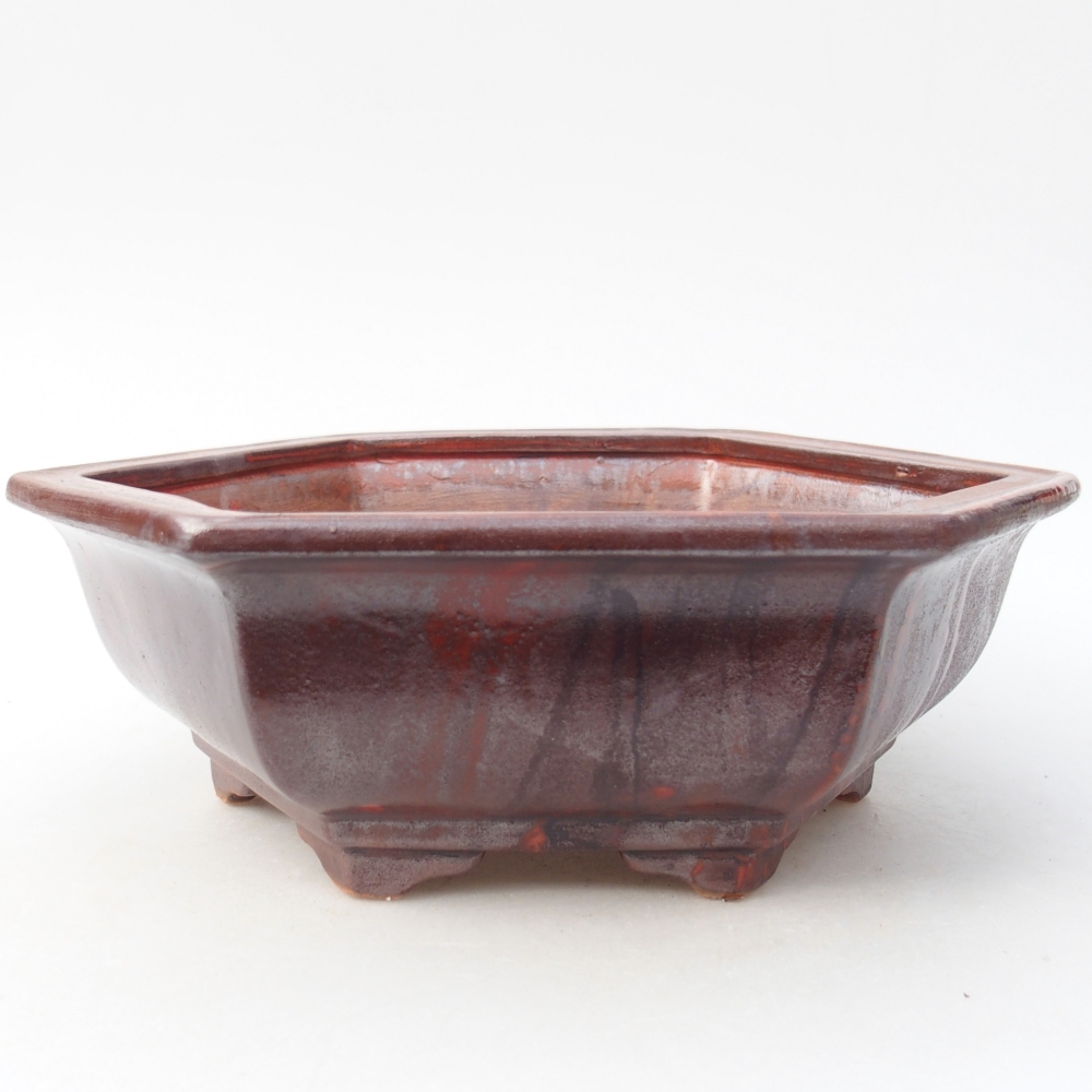 Ciotola per bonsai in ceramica 24 x 21 x 7,5 cm, colore rosso