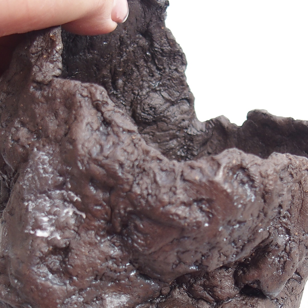 Conchiglia in ceramica 11 x 10 x 14 cm , colore marrone