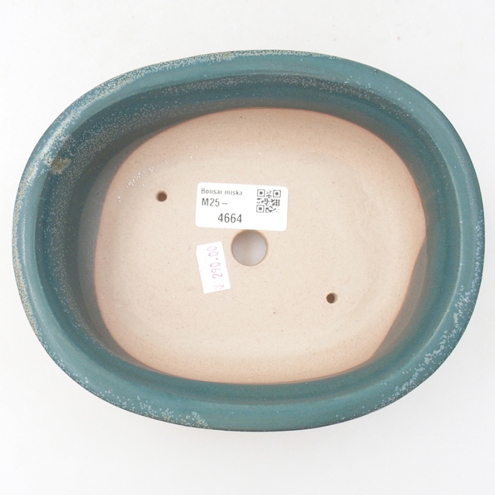 Ciotola bonsai in ceramica 18 x 14,5 x 6 cm, colore blu