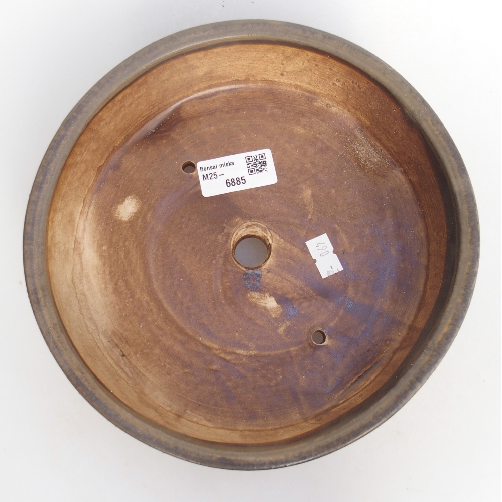 Ciotola per bonsai in ceramica 21 x 21 x 6 cm, marrone