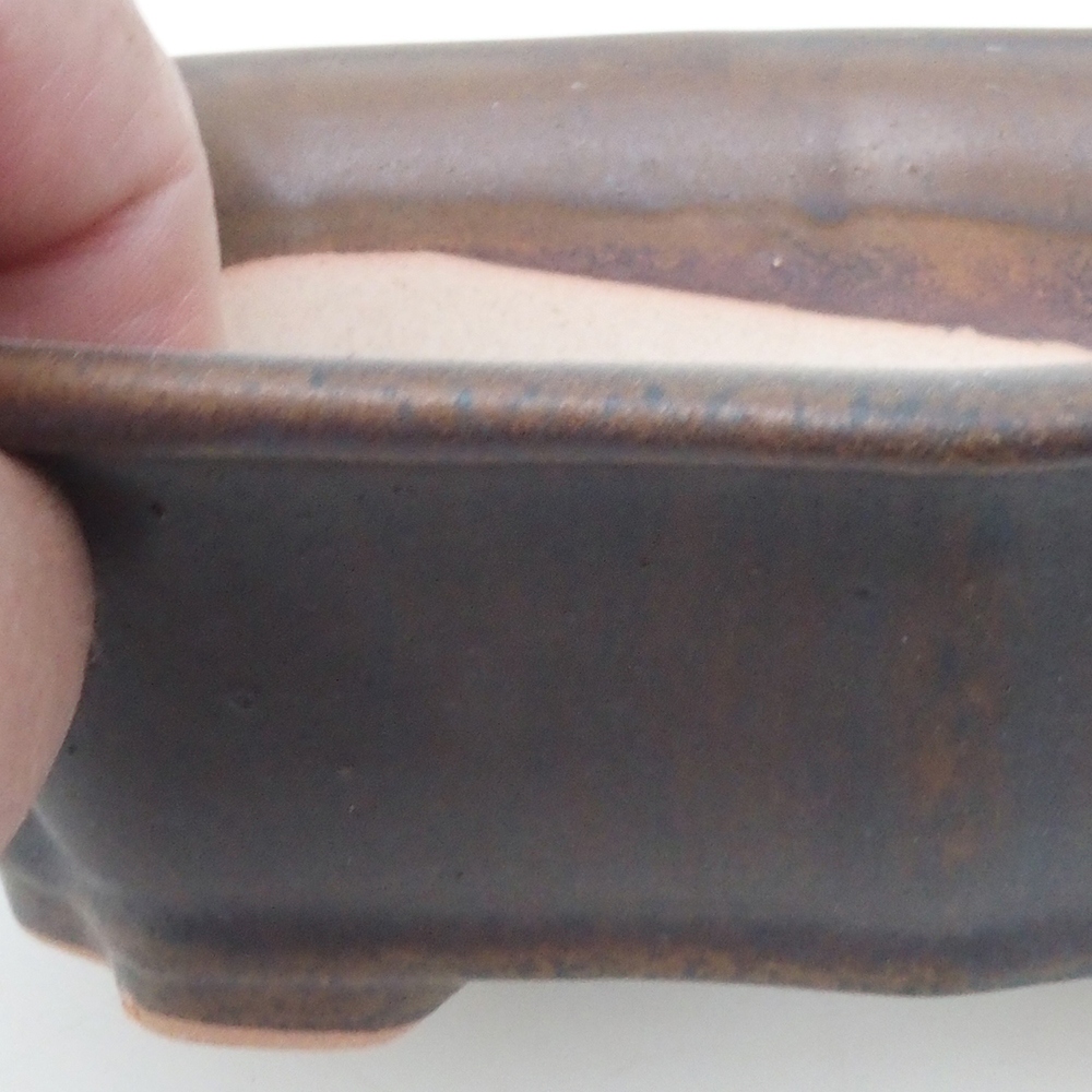 Ciotola per bonsai H51 - 18 x 14 x 5 cm - marrone
