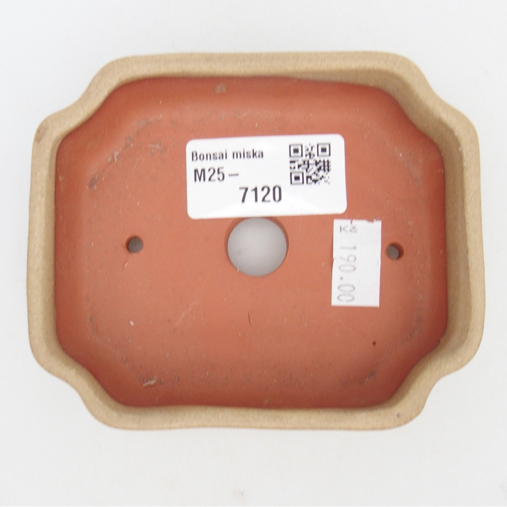 Ciotola bonsai in ceramica 26 x 26 x 8 cm, colore rosso