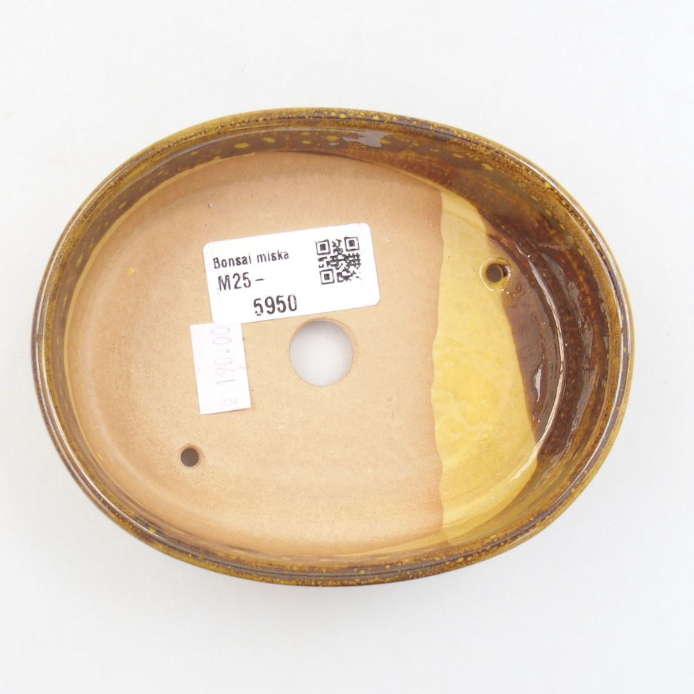 Ciotola bonsai in ceramica 22 x 17 x 5 cm, verde