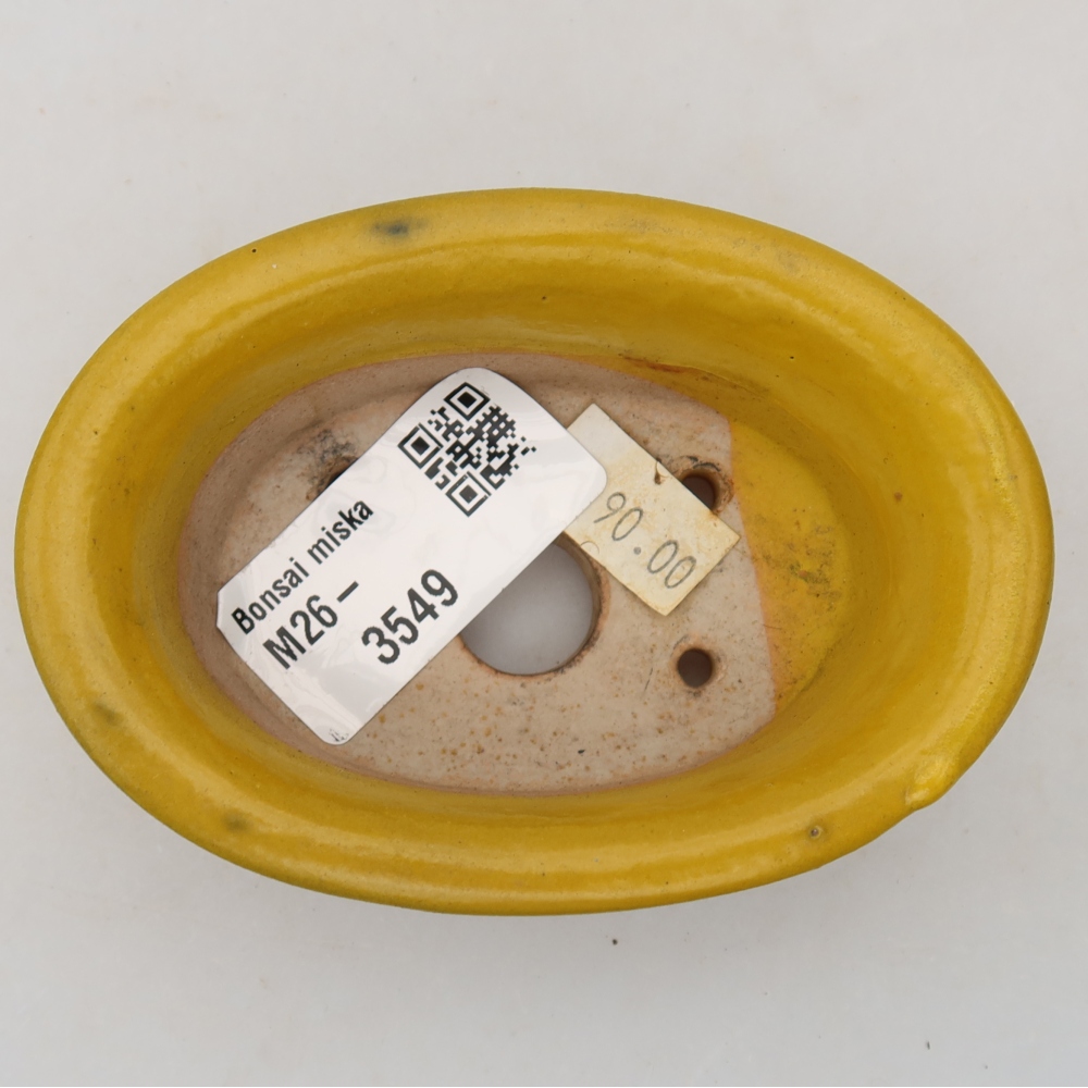Vaso da bonsai in ceramica 9,5 x 6,5 x 3 cm, colore giallo