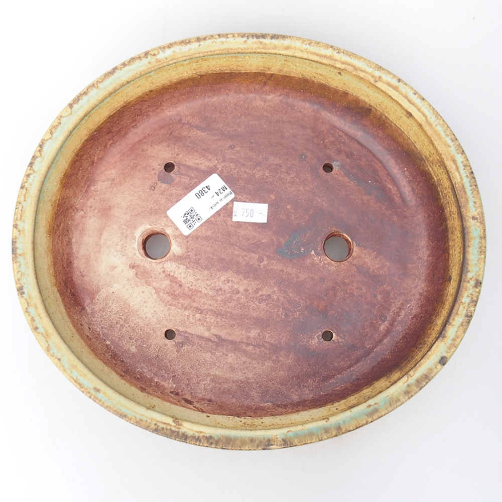 Ciotola per bonsai in ceramica 26,5 x 24 x 5,5 cm, verde